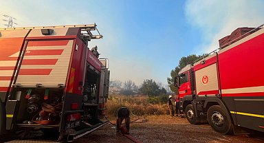Çandarlı’daki zeytinlik yangını kontrol altına alındı