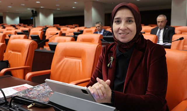 Esen: Staj ve çıraklık sisteminde hak kaybı var, i