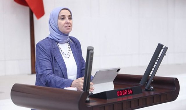 DEVA Partili Esen: Türkiye’nin nüfus krizi bir güven krizidir