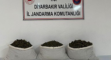 Diyarbakır’da narkotik operasyonu