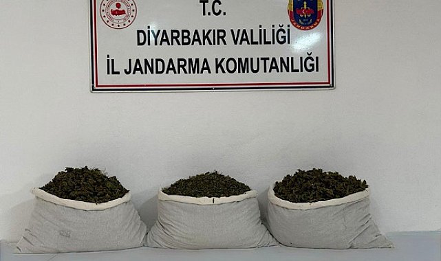 Diyarbakır’da narkotik operasyonu