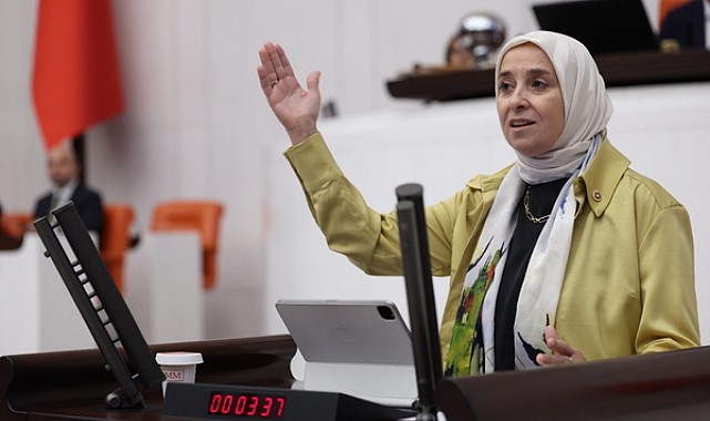 Esen: Emeklinin çektiği bütün bu acılar sizin vicdanınızı hiç mi kanatmıyor