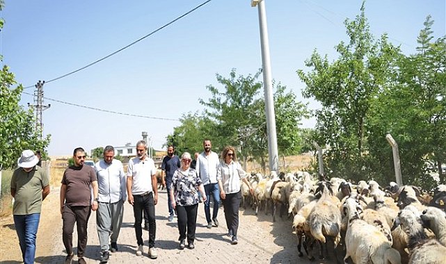 Kayapınar'da kırsal mahallelerde altyapı çalışmaları sürüyor