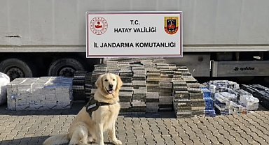Kırıkhan'da kaçakçılık operasyonu