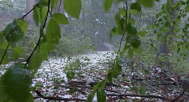 Meteoroloji'den Kastamonu ve Sinop için kuvvetli yağış uyarısı