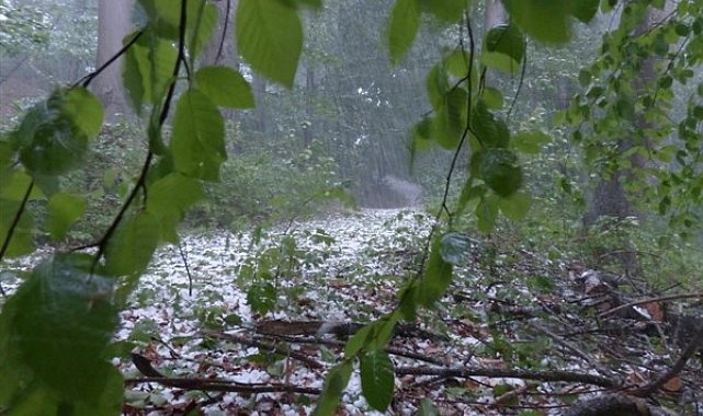 Meteoroloji'den Kastamonu ve Sinop için kuvvetli yağış uyarısı
