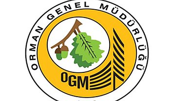 OGM: Antalya ve Muğla'daki orman yangınlarına müdahale sürüyor
