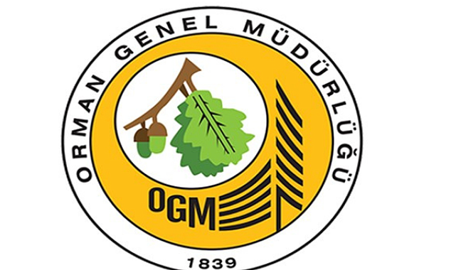 OGM: Antalya ve Muğla'daki orman yangınlarına müdahale sürüyor