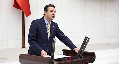 Arıkan, Saadet Partisi’nin İstanbul pikniğinde Babacan ile bir araya geldi
