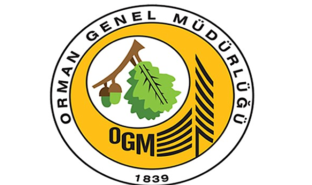 Bayramiç’teki yangın büyük ölçüde kontrol altına alındı
