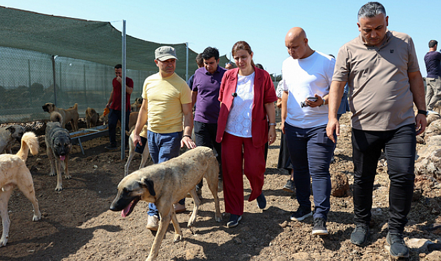 Bucak, Doğal Yaşam Alanı’nda incelemelerde bulundu