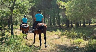  Çanakkale’de 2 ayda 44 orman yangını çıktı