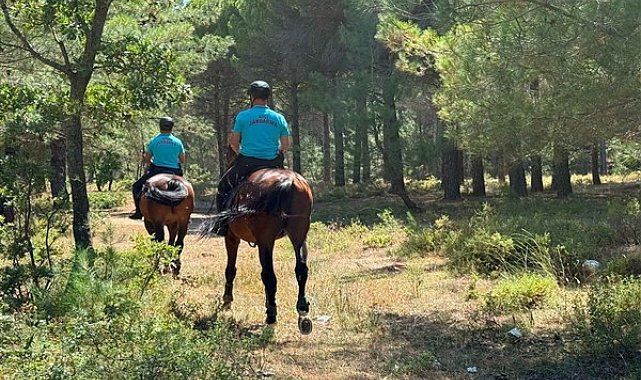 Çanakkale’de 2 ayda 44 orman yangını çıktı