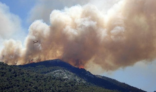 Çanakkale'de orman yangını riskine karşı 3 günlük tedbir kararı