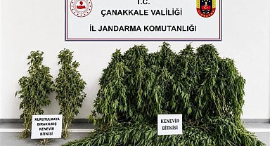 Çanakkale’de uyuşturucu operasyonu