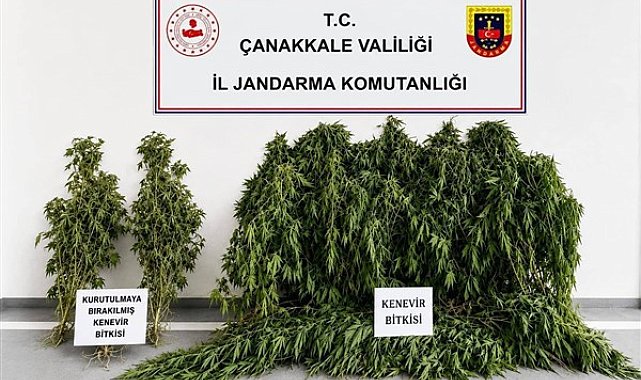 Çanakkale’de uyuşturucu operasyonu