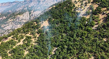 Munzur Vadisi Milli Parkı'ndaki örtü yangını kontrol altına alındı