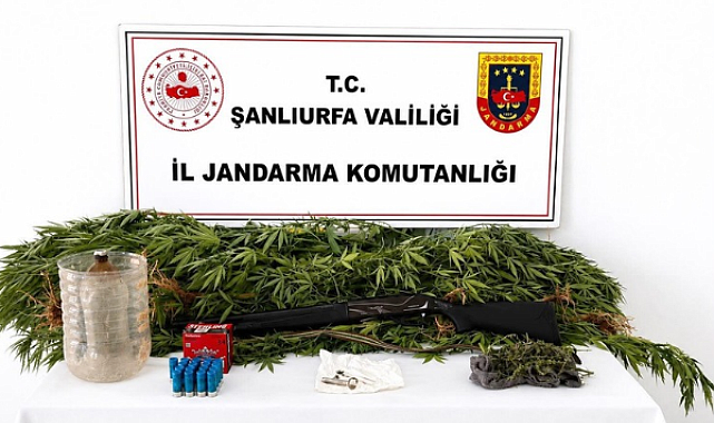 Şanlıurfa’da uyuşturucu operasyonunda 102 gram esrar ele geçirildi