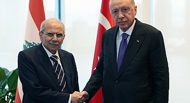 Erdoğan, Lübnan Başbakanı Selam ile görüştü