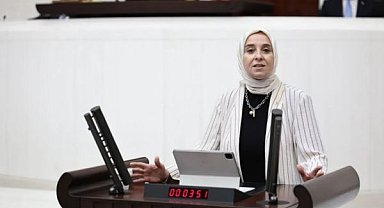 Esen’den çocuk tesliminde şiddet riskine karşı düzenleme çağrısı
