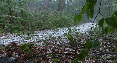 Meteoroloji’den kuvvetli yağış ve rüzgar uyarısı