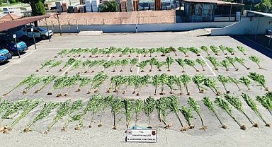 Sakarya’da uyuşturucu operasyonu: 75 gram bozai eve geçirildi