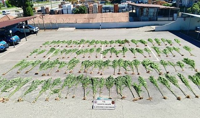 Sakarya’da uyuşturucu operasyonu: 75 gram bozai eve geçirildi