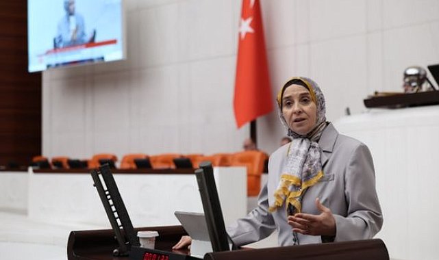 DEVA Partili Esen’den 10 gün cezaevinde tutulan Süslü için soru önergesi