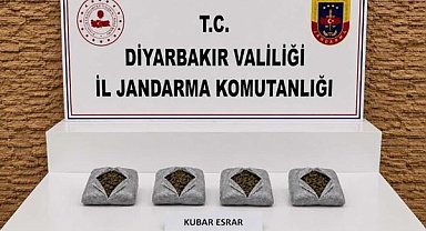 Diyarbakır’da uyuşturucu operasyonlarında 57 bin 702 kök kenevir ele geçirildi