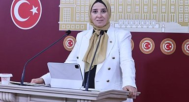 Esen: Hükümetin refah bütçesi, vatandaşın sabır bütçesi