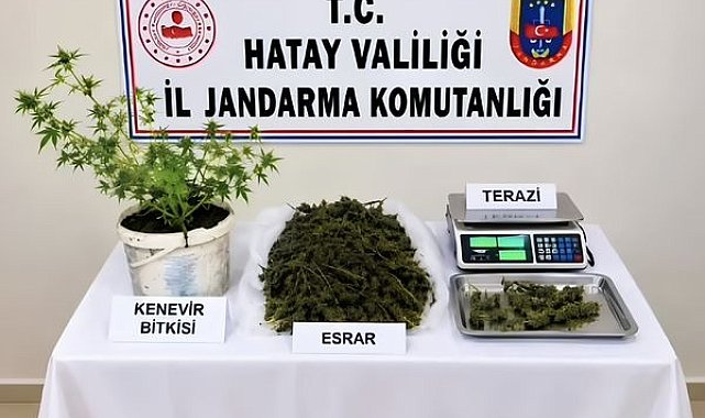 Hatay’da uyuşturucu operasyonu bir kişi tutuklandı
