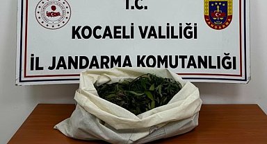 Kocaeli’de uyuşturucu operasyonu: 7 şüpheli hakkında işlem başlatıldı