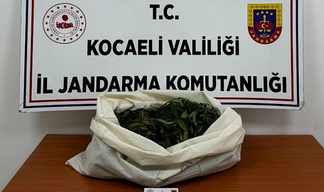 Kocaeli’de uyuşturucu operasyonu: 7 şüpheli hakkında işlem başlatıldı