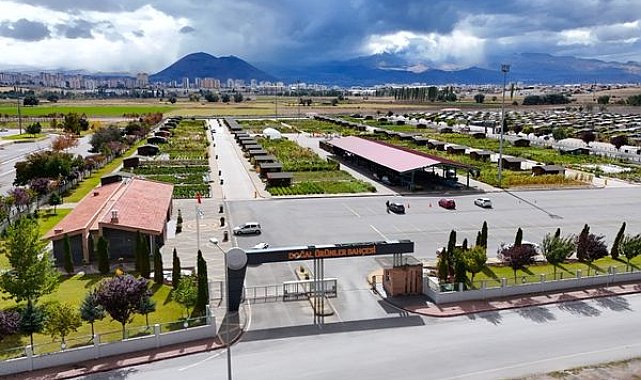 Pınarbaşı kimyonu için özel üretim alanı oluşturuluyor