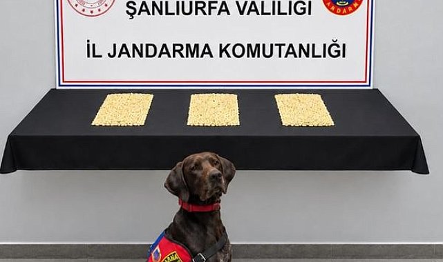 Şanlıurfa’da uyuşturucu operasyonu: 2 bin 970 Captagon hap ele geçirildi