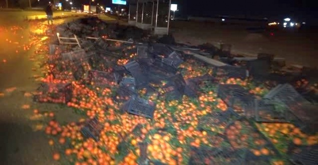 Tonlarca mandalinalar yola saçıldı