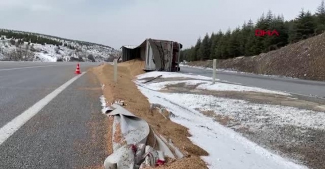 Devrilen TIR’daki buğday çevreye savruldu