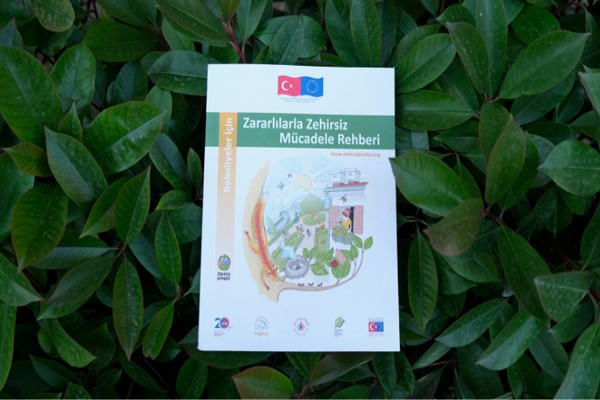 Belediyeler için zararlılarla zehirsiz mücadele rehberi
