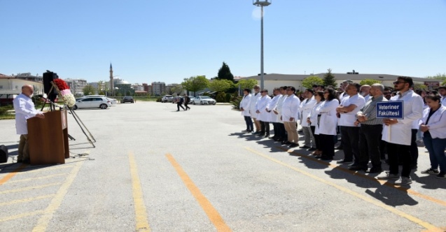 AKÜ’de Dünya Veteriner Hekimler Günü Kutlandı