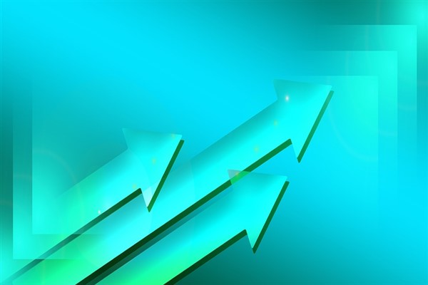 Verusa Holding'ten pay geri alımı