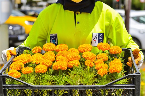 ABB Arıcılık Akademisi’nde dersler yeniden başlıyor