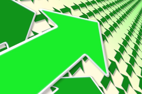 Panelsan'ın ilk çeyrek rakamları