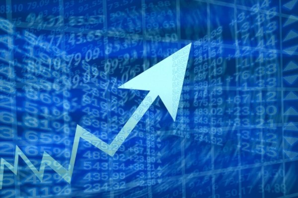 Meditera'nın faaliyet raporu