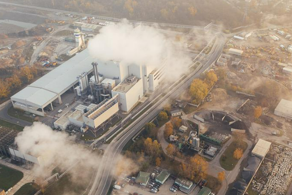 Başkentli çiftçiye şimdi de sebze fidesi desteği