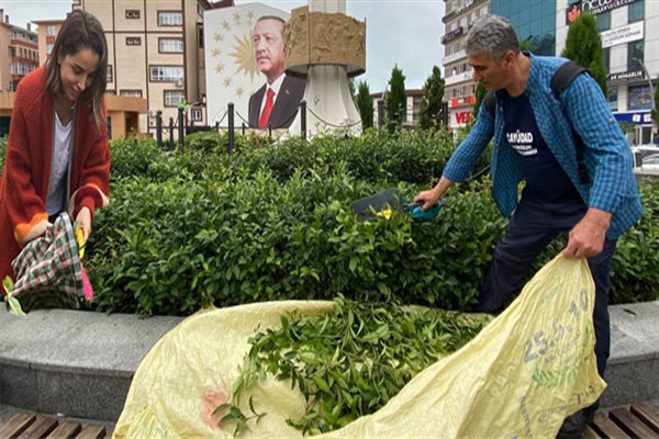 ÇAYÜDAD meydandaki yaş çay bahçesinin bakımını gerçekleştirdi
