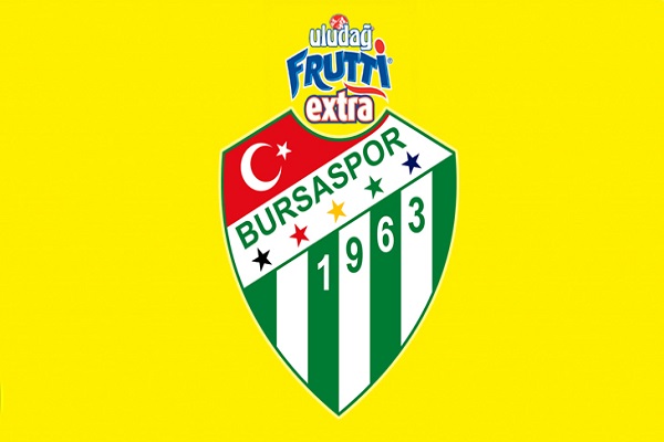 Yiğitcan Saybir, Bursaspor'da