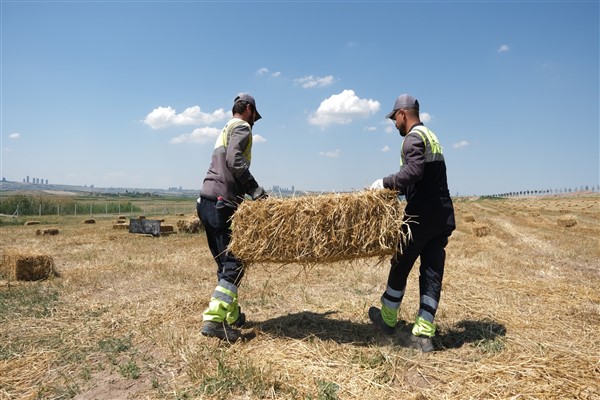 BAKAP'ta 2022’nin ilk hasadı yapıldı
