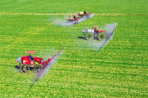 Çin’de kişi başına düşen tahıl üretimi 483 kilograma ulaştı