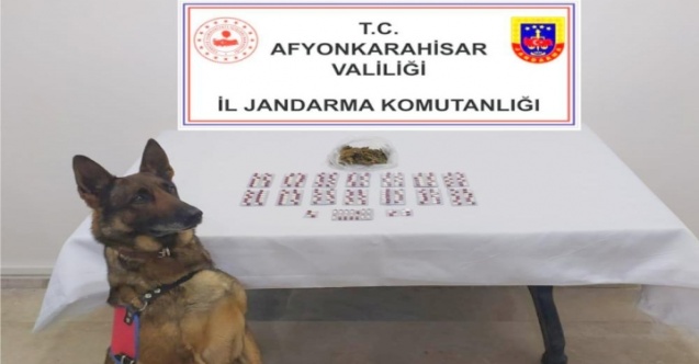 Jandarma uyuşturucu madde ele geçirdi