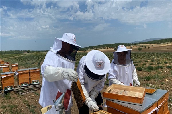 Kadınlar ilk mahsul polenleri aldı